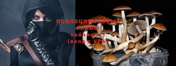 сатива Киренск