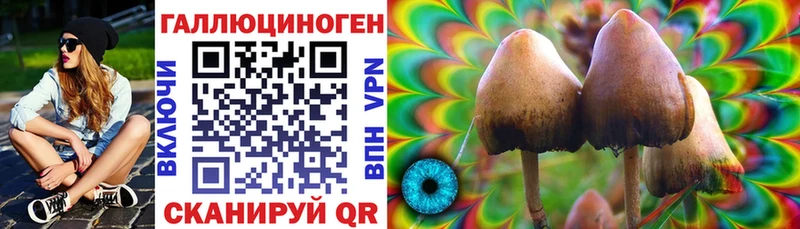 Купить закладки  Вятские Поляны  Галлюциногенные грибы мицелий 